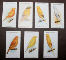 CANARY BREEDS    7 x Vintage 1933 Illustrated Cage Bird Cards