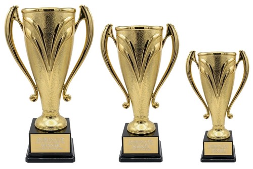 Personalised gold presentation - personalised,