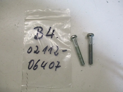 Screw motor x 43 - screw, m6