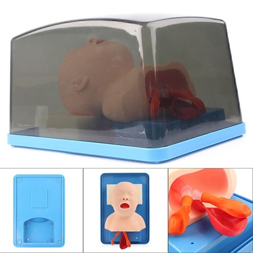 Intubation manikin trainer - intubation,