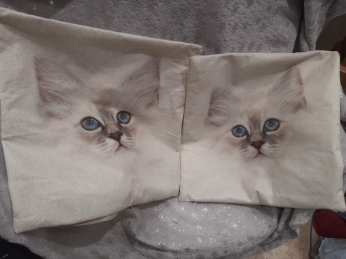 Two cat themed cushion - cat,