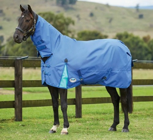 Weatherbeeta 100g - weatherbeeta,