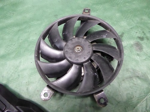 Cooler fan triumph tiger - fan,