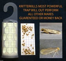Kritter kill diamond - 5,