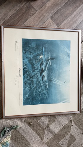 Terence cuneo mosquito - terence,