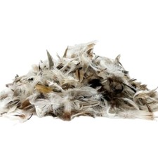 Loose Filling Natural Duck