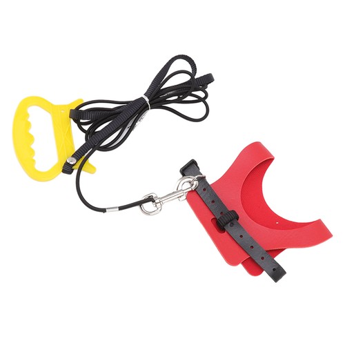 Bird harness leash portable - bird,