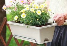 Trough plant pot - trough, plastic