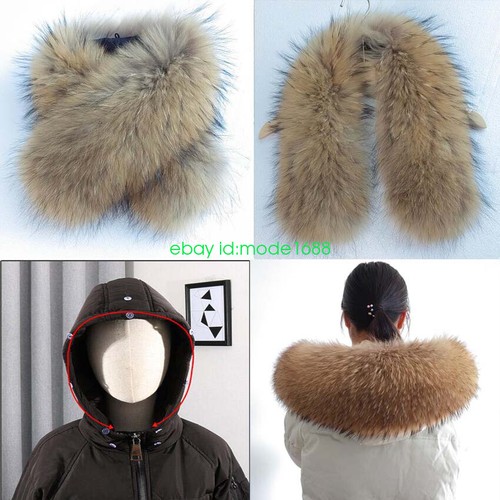 New 100 real - new, fur