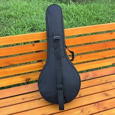 Mandolin Storage Case Banjo
