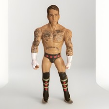 Mattel WWE CM Punk Action