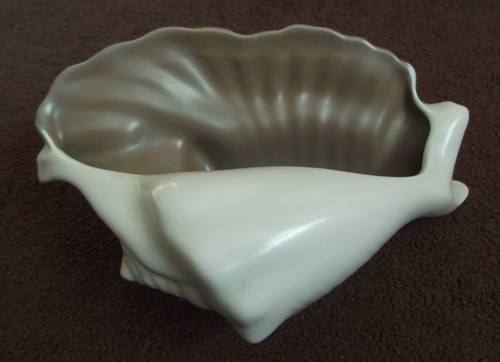 Poole shell across - shell,