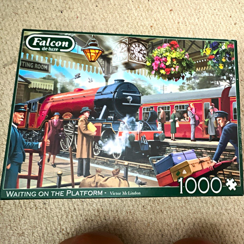 Falcon waiting the - on, platform