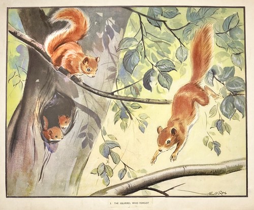 Vintage poster red - poster, squirrels