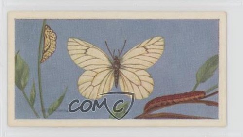 1962 gaycon british - gaycon,