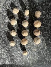 British Civil War Musket Balls