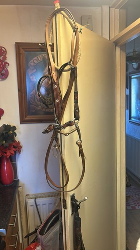 Western bridle - western,
