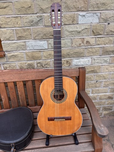 Ibanez 336 classic - 336,