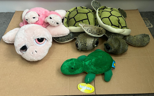 Bundle pink green turtle - of,