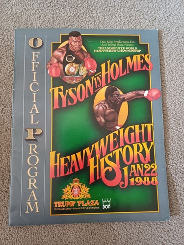 Mike tyson holmes - v,