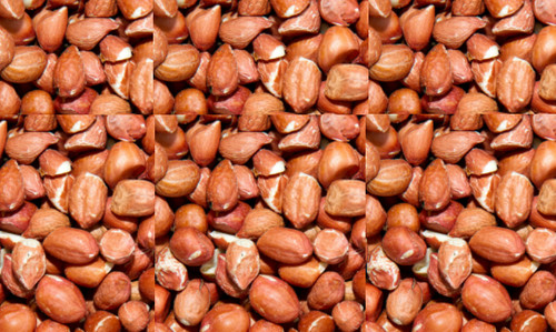 1kg wild bird peanuts - wild,