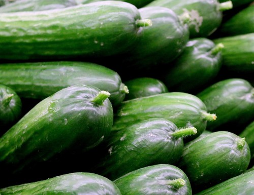 Cucumber various types jumbo - various,