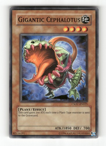 Gigantic cephalotus csoc en025 - gigantic, csoc-en025