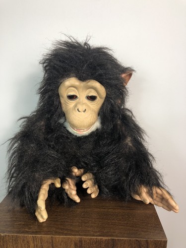 Furreal cuddle chimp monkey - chimp,