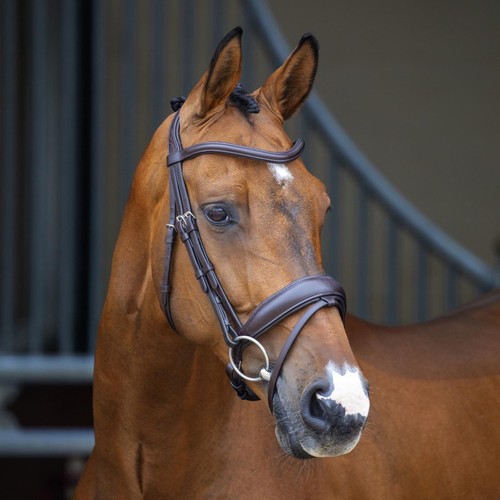 Shires lusso dressage flash - shires,