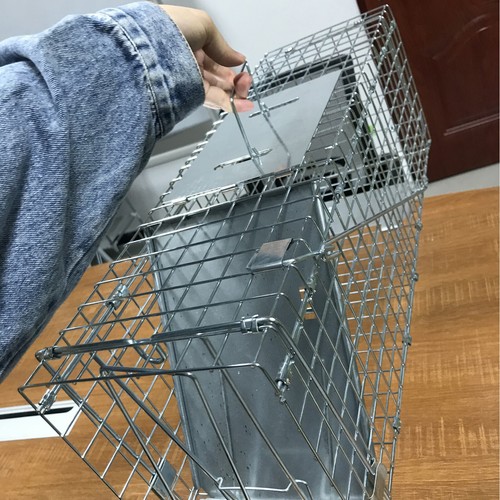 Power tools squirrel - power, cage