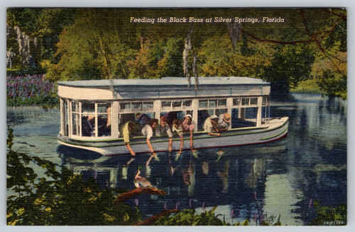 Feeding the black bass - black,