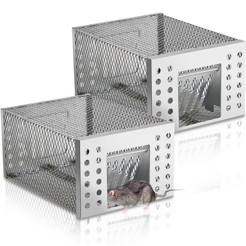 Rat mouse trap catcher - mouse, humane