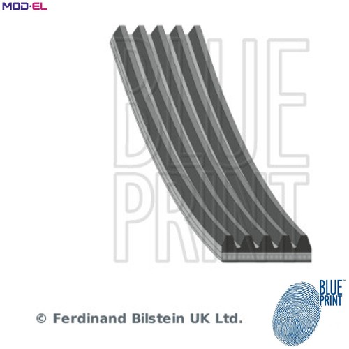 Vribbed belt ad05r1644 for - vribbed,