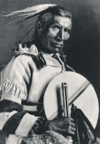 Striped wolf with hawk - with,