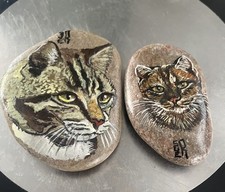 Hand Painted Stones / Pebbles