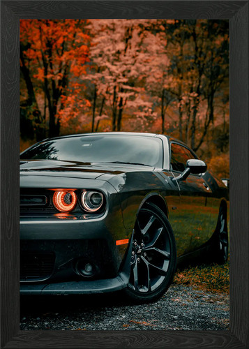 Dodge challenger srt framed - srt,