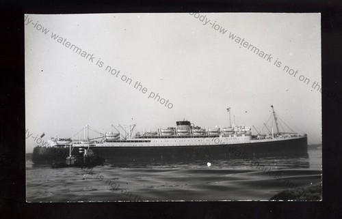 Lp1441 white star - star, line