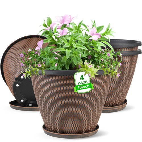 Pack inch plant pot - 4,