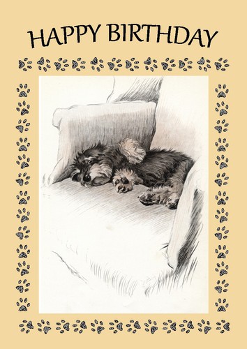 Dandie dinmont terrier dog - dinmont,