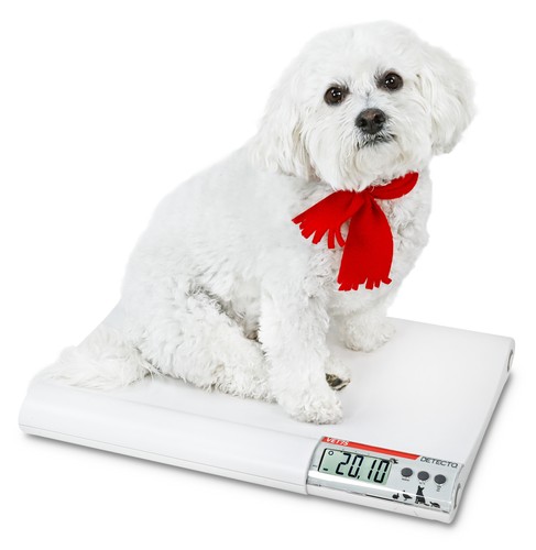 Detecto veterinary scale - detecto,