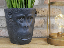 Unusual Black Monkey Head