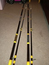 Zziplex Sea Fishing Rods Pair