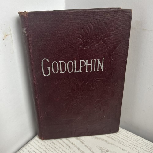 Antique fiction book - antique,