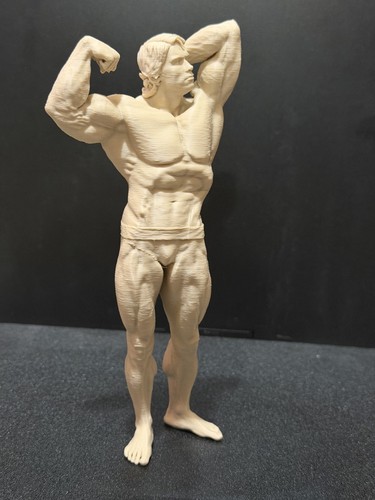 Arnold alois schwarzenegger - alois,