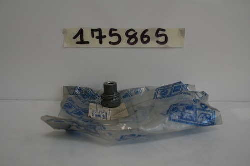 Spare front suspension spring - front,