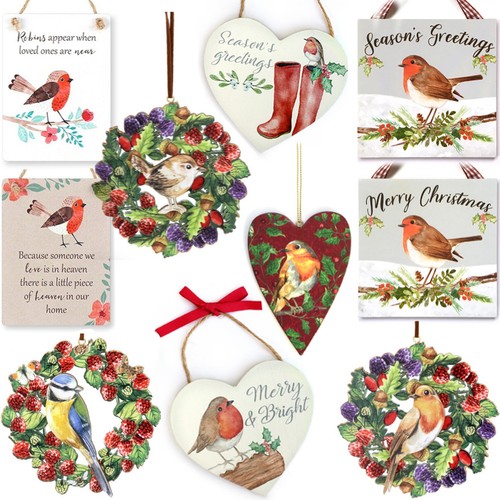 Bird robin hanging - bird,