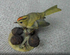 SCARCE TEVIOTDALE FIRECREST 3