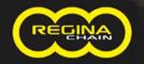 Rear chain 107links - 107links, regina