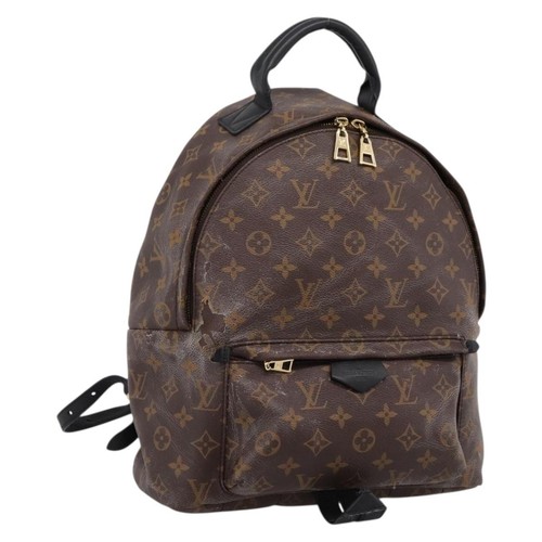 Louis vuitton monogram palm - monogram,