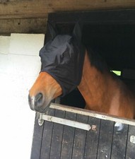NEW SHETLAND/HORSE/COB/PONY